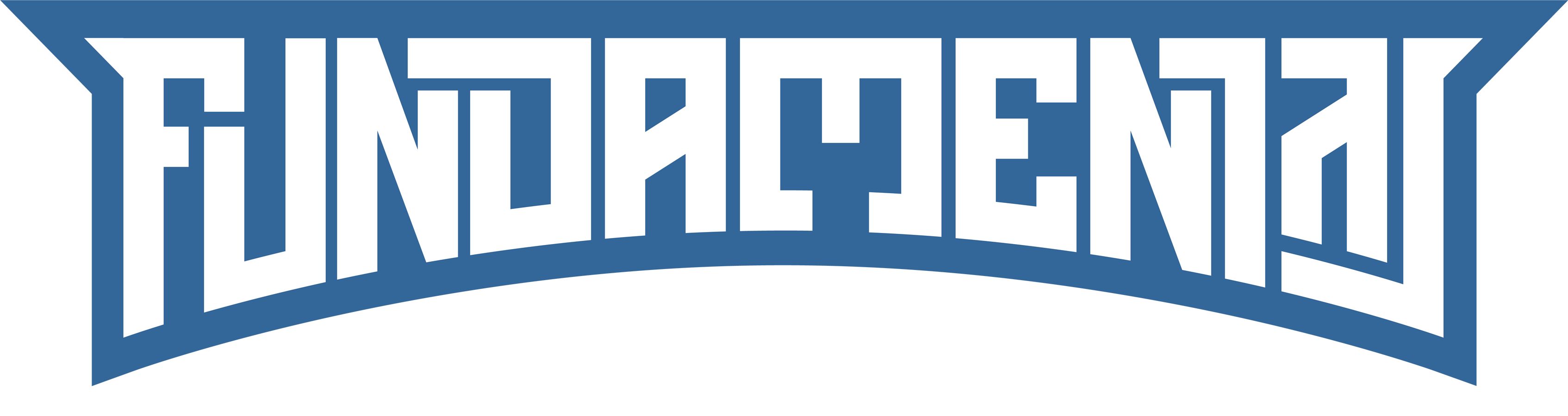 FDM Logo