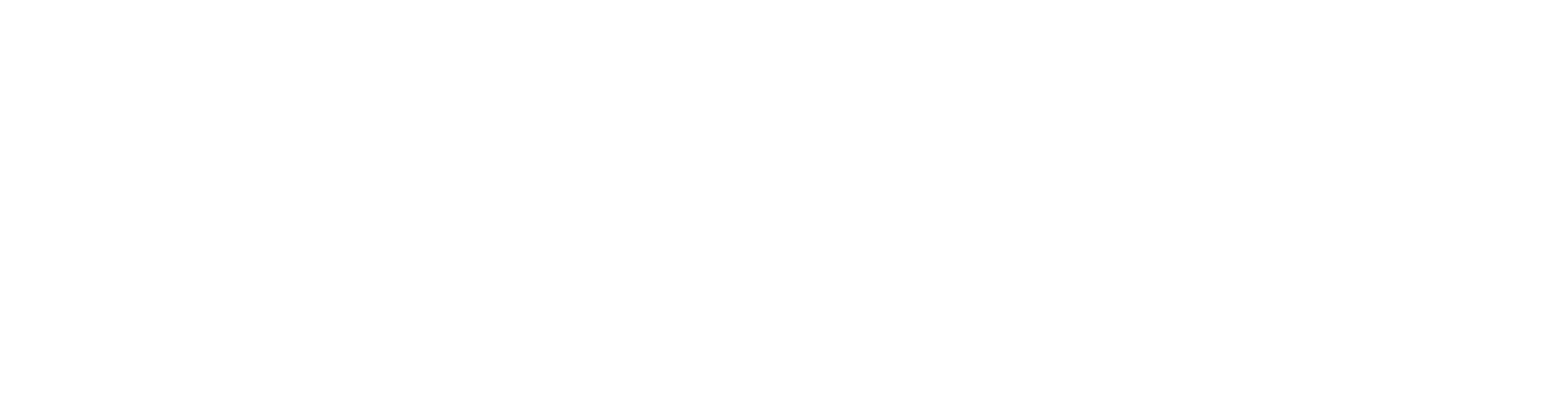 FDM Logo